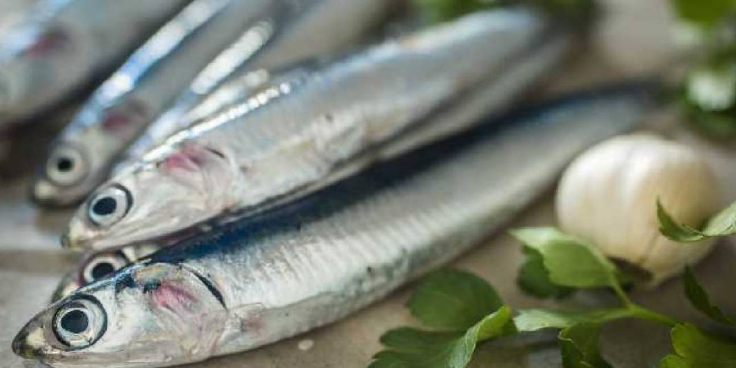 Hamsi yerken kılçığını atmayın! Faydasını duyan çiğnemeden yutacak: Uzmanlar kılçıklı önerdi 7